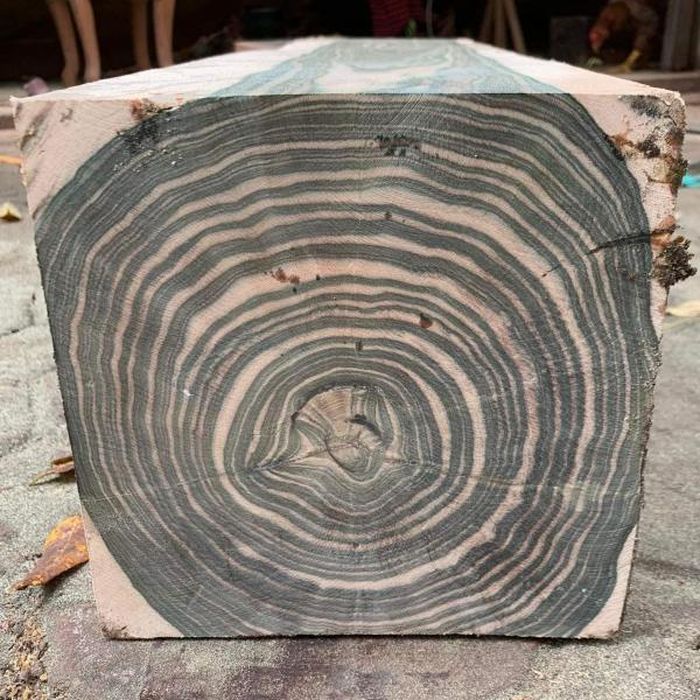 gỗ Mun Hoa là gỗ gì 2