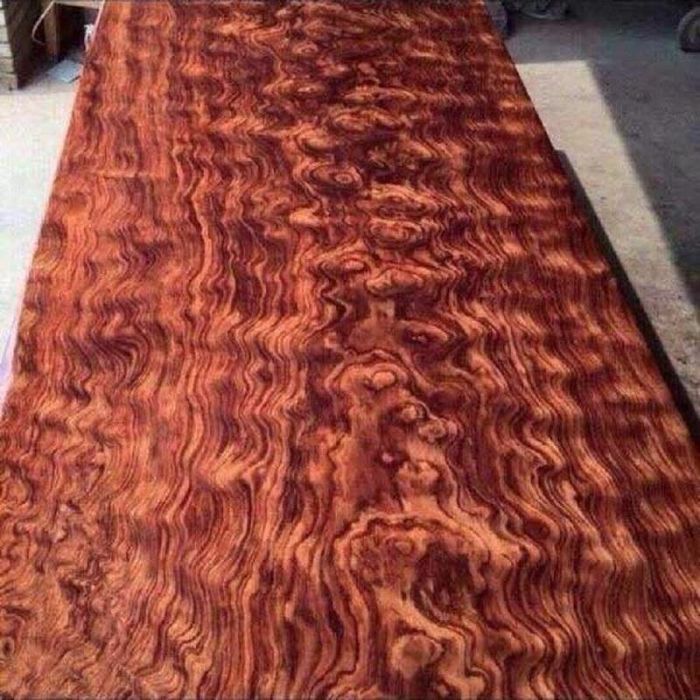 Gỗ Nu Cẩm Lai là gỗ gì